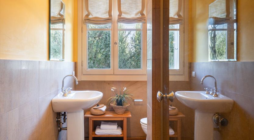 Photo of Mediterranean Flowers