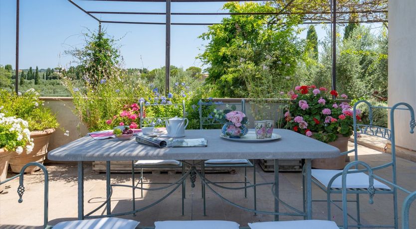 Photo of Mediterranean Flowers