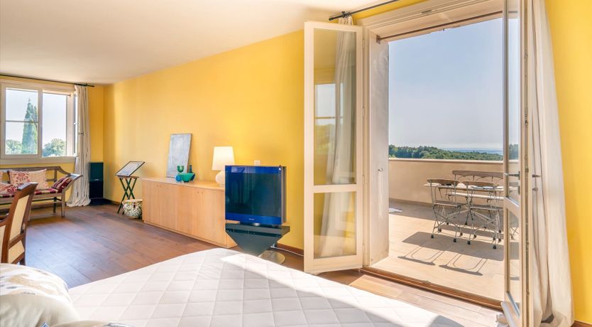 Photo of Mediterranean Flowers