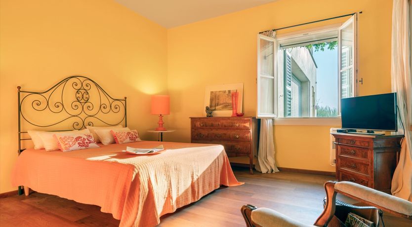 Photo of Mediterranean Flowers