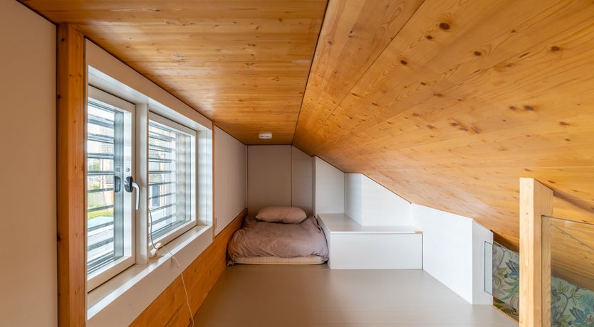 Photo of Shells In The Garden