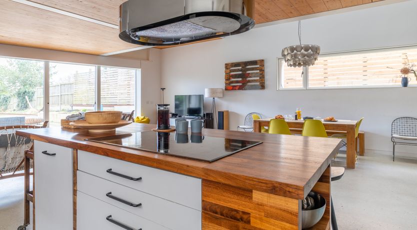 Photo of Shells In The Garden