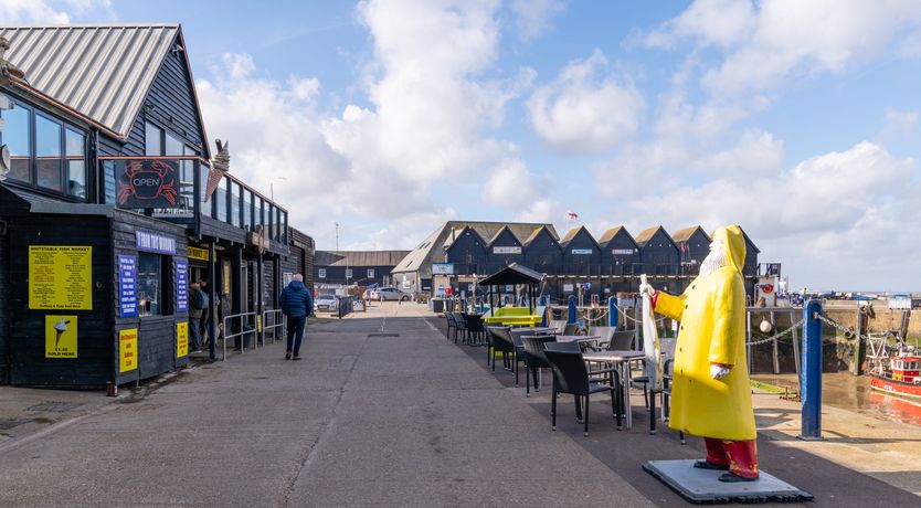 Photo of Shells In The Garden