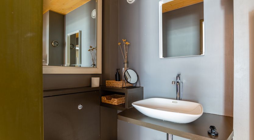 Photo of Shells In The Garden