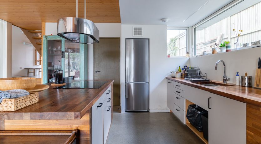 Photo of Shells In The Garden