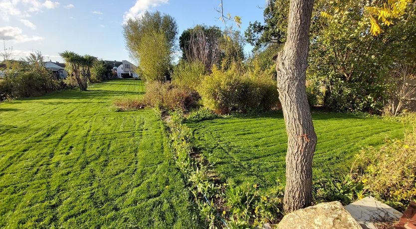 Photo of Shells In The Garden
