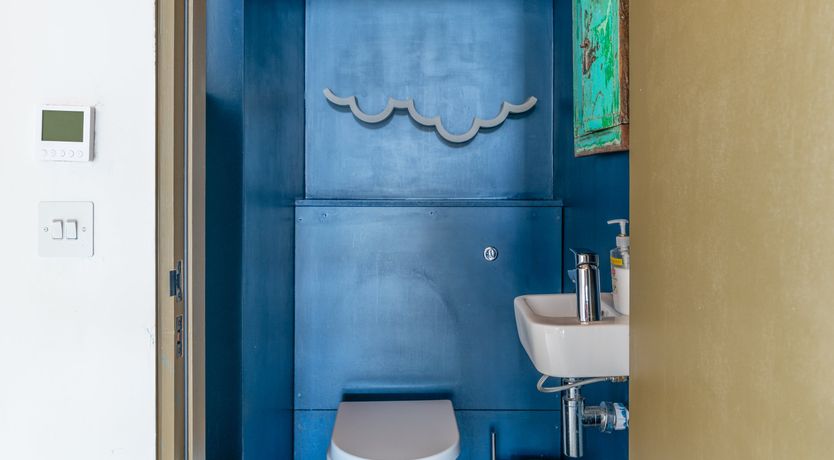 Photo of Shells In The Garden