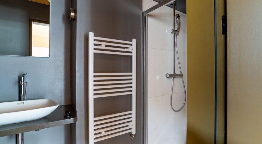 Photo of Shells In The Garden