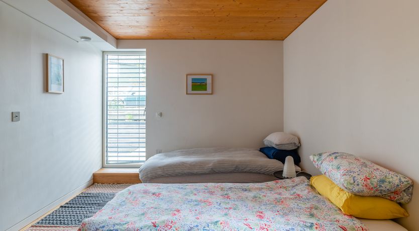 Photo of Shells In The Garden