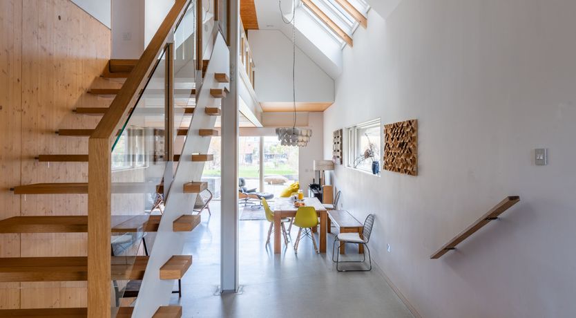 Photo of Shells In The Garden