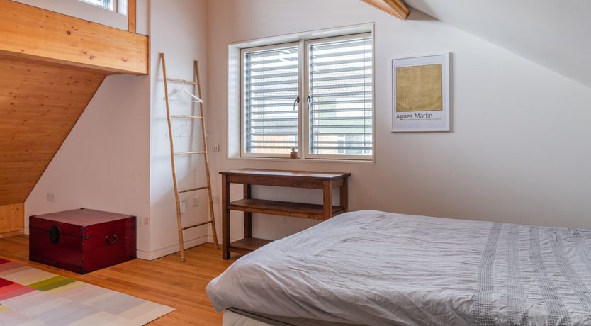 Photo of Shells In The Garden