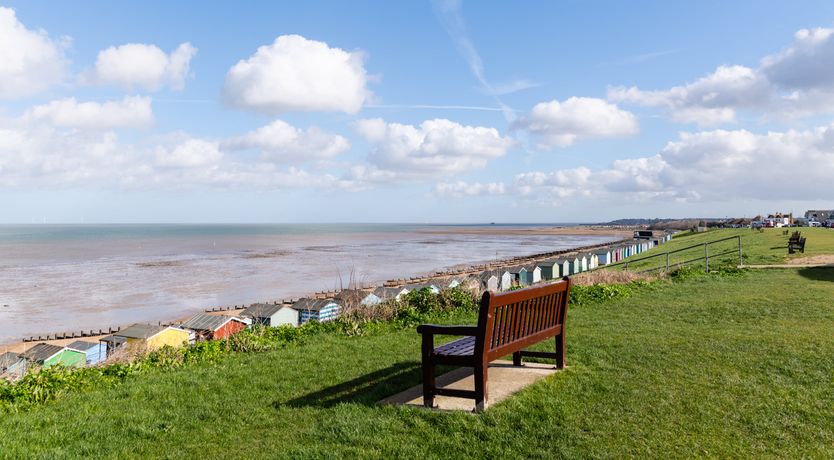 Photo of Shells In The Garden