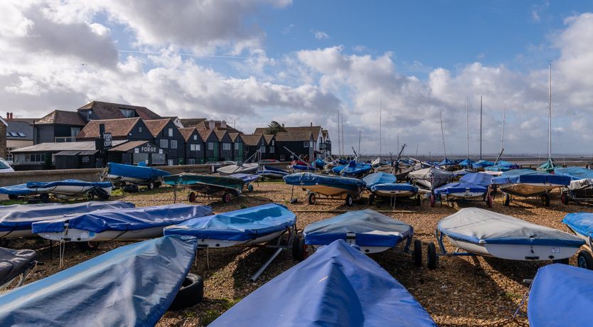 Photo of Shells In The Garden