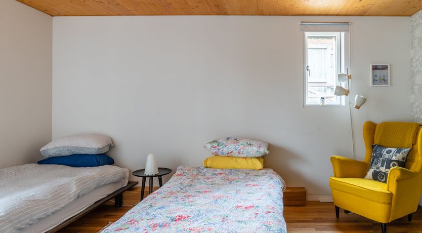 Photo of Shells In The Garden