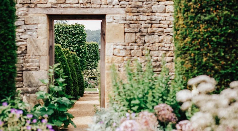 Photo of The Silver Knight