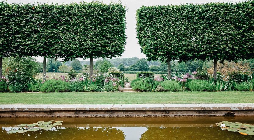 Photo of The Silver Knight