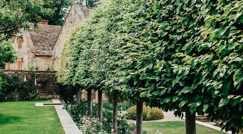 Photo of The Silver Knight