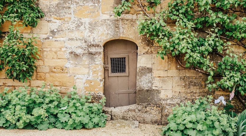 Photo of The Silver Knight