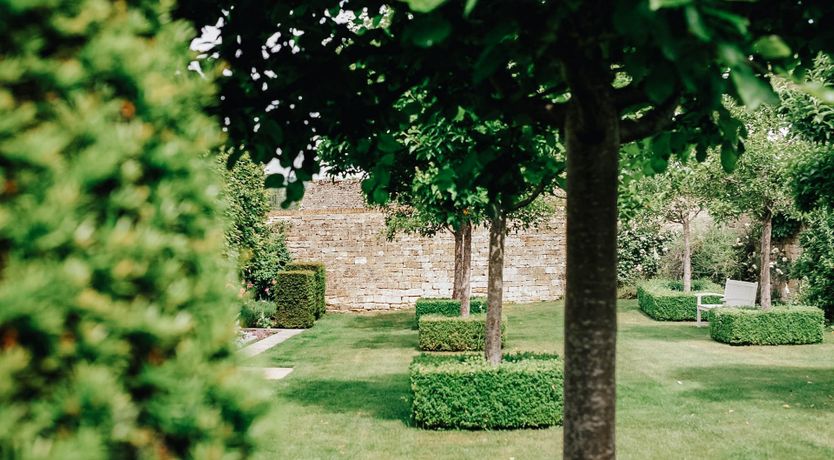 Photo of The Silver Knight