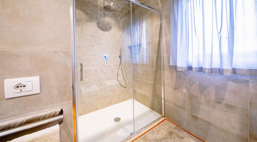 Photo of Among the Olive Trees