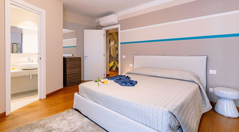 Photo of Among the Olive Trees