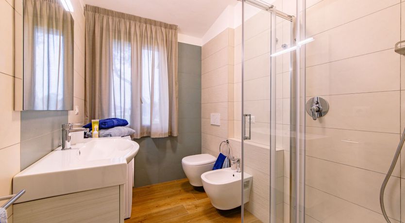 Photo of Among the Olive Trees