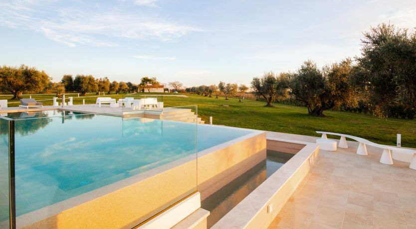 Photo of Among the Olive Trees