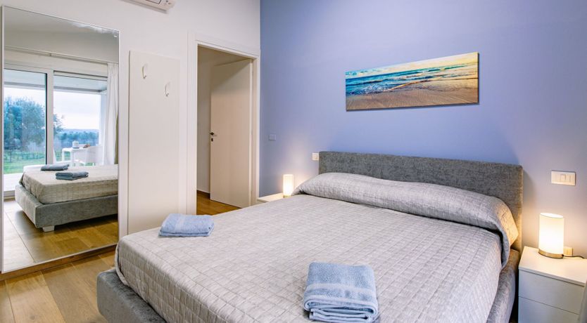 Photo of Among the Olive Trees