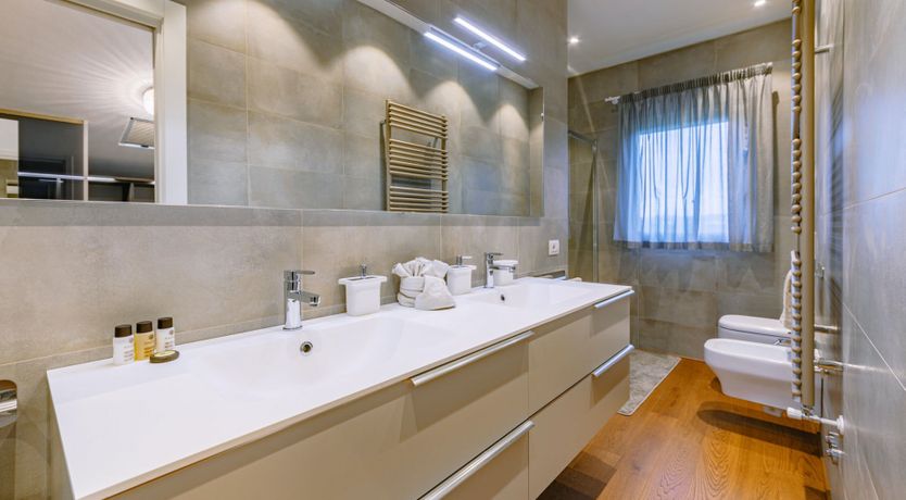 Photo of Among the Olive Trees