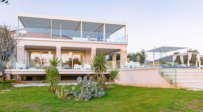 Photo of Among the Olive Trees