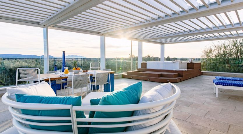 Photo of Among the Olive Trees