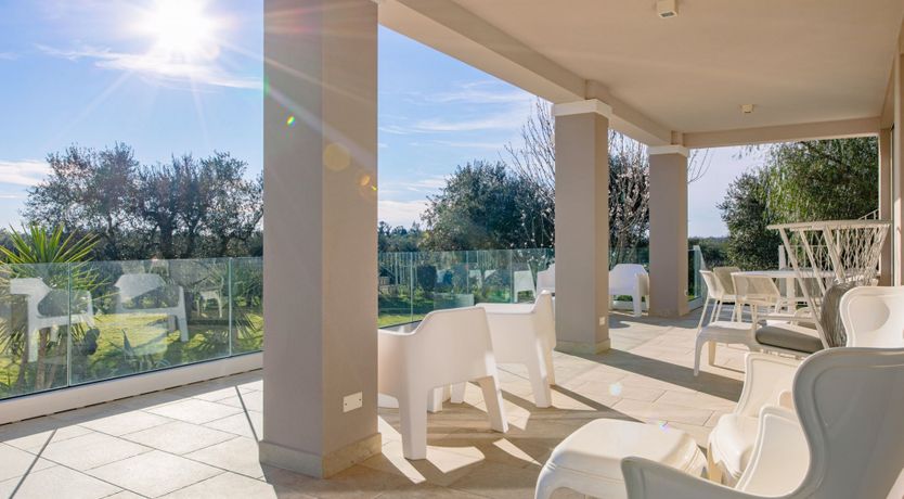 Photo of Among the Olive Trees