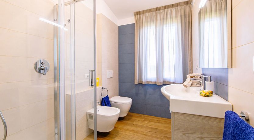 Photo of Among the Olive Trees