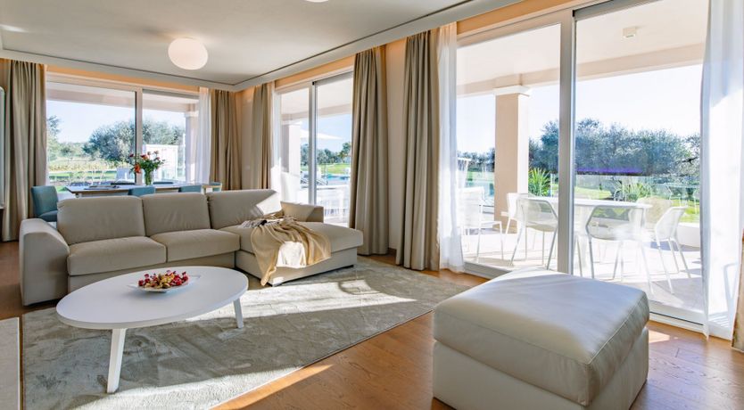 Photo of Among the Olive Trees