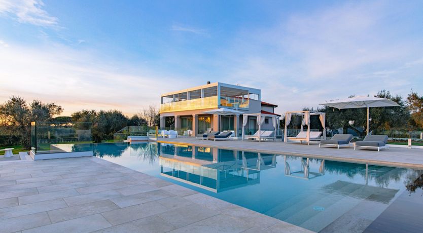 Photo of Among the Olive Trees