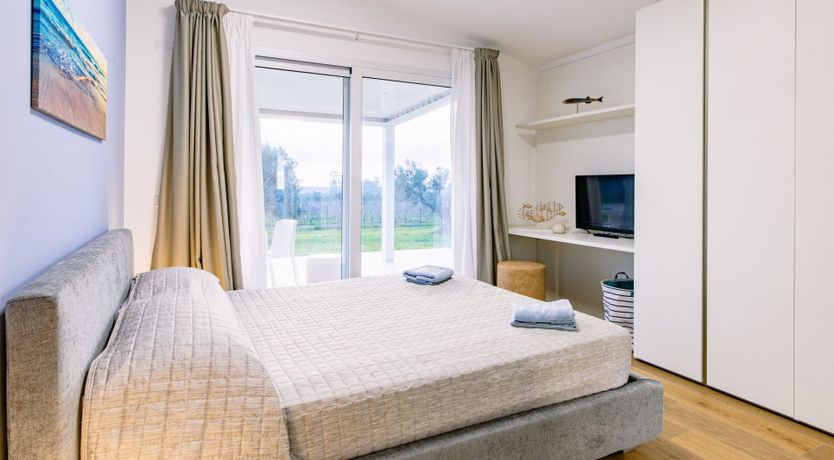 Photo of Among the Olive Trees