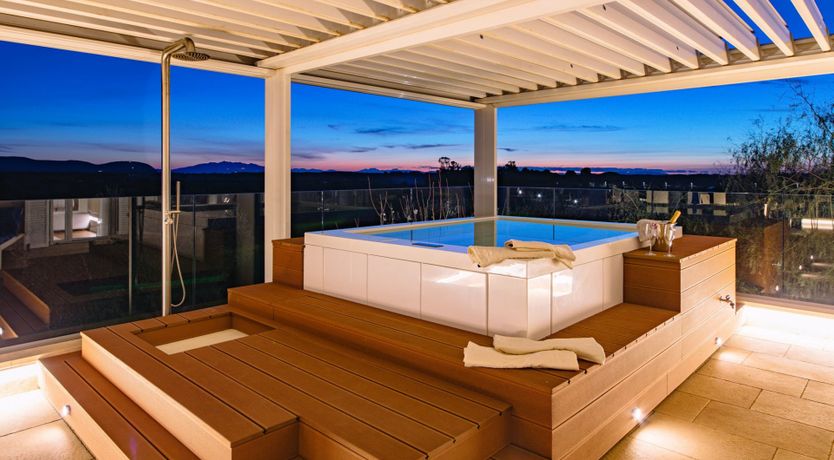 Photo of Among the Olive Trees