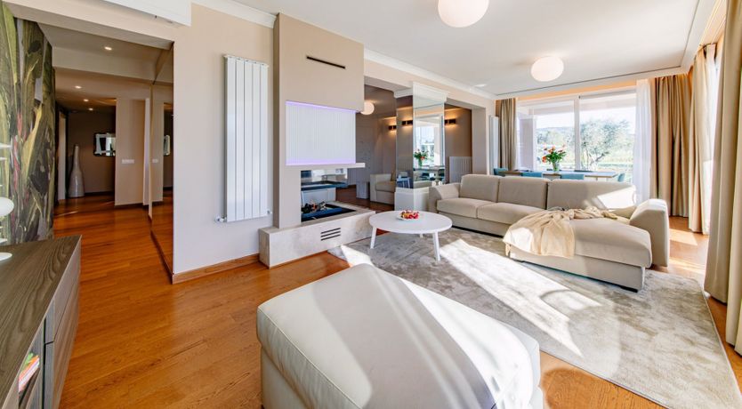 Photo of Among the Olive Trees