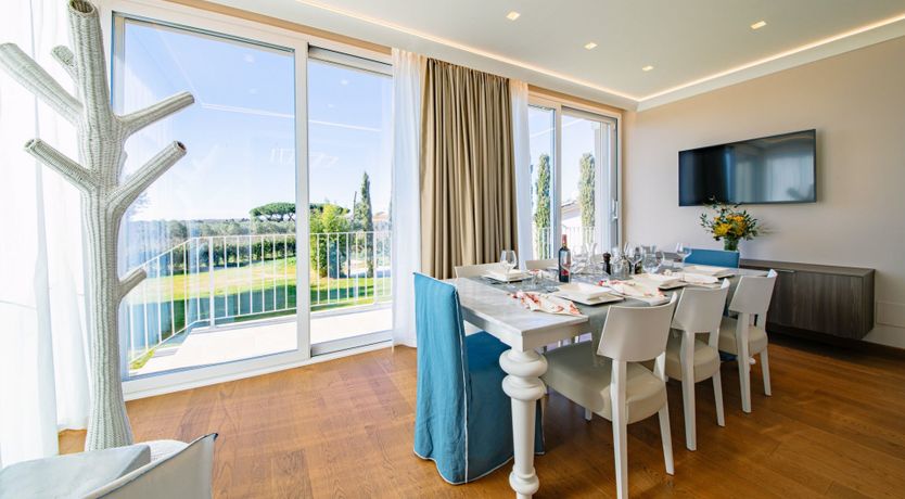 Photo of Among the Olive Trees