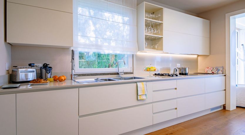 Photo of Among the Olive Trees