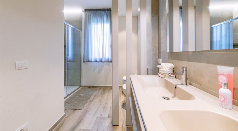 Photo of Among the Olive Trees