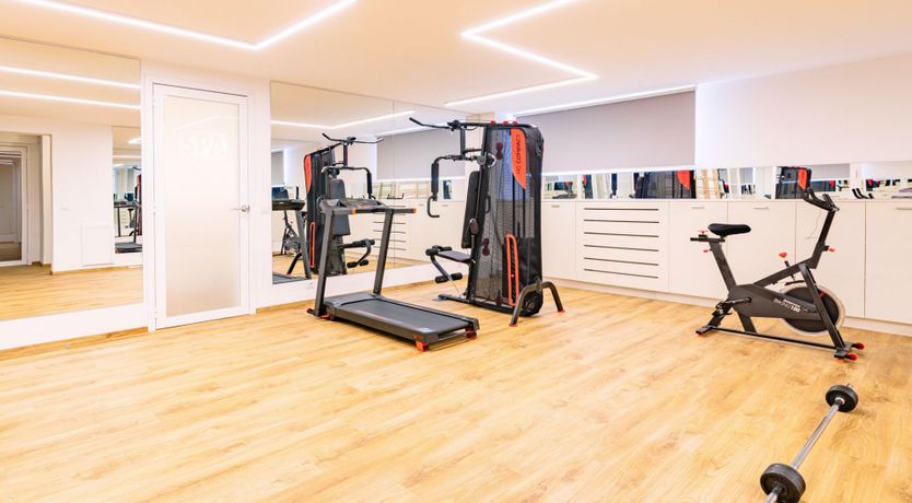 Photo of Among the Olive Trees