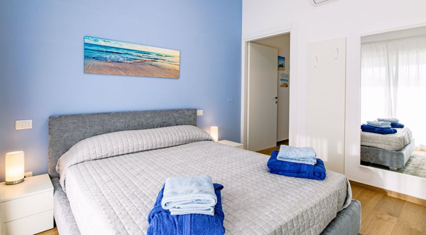 Photo of Among the Olive Trees