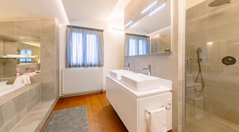 Photo of Among the Olive Trees