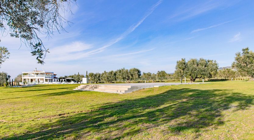 Photo of Among the Olive Trees