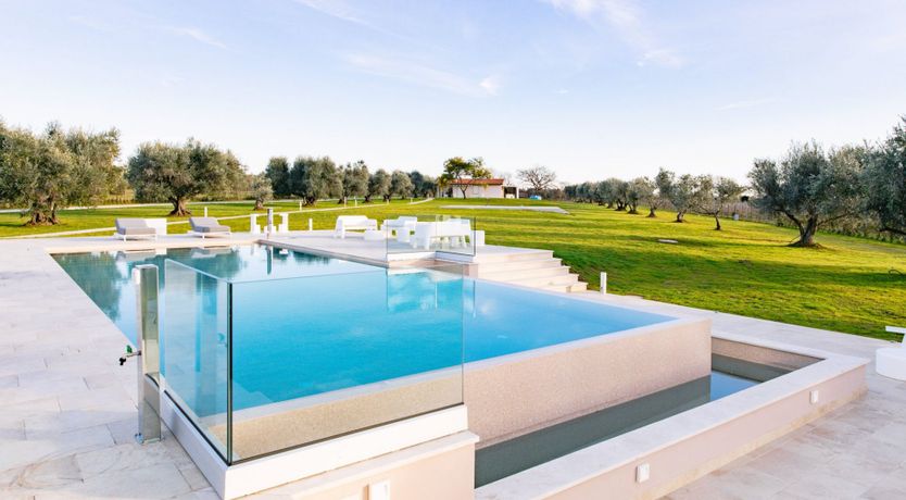 Photo of Among the Olive Trees