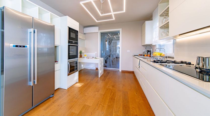 Photo of Among the Olive Trees