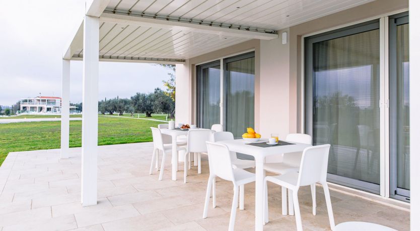 Photo of Among the Olive Trees