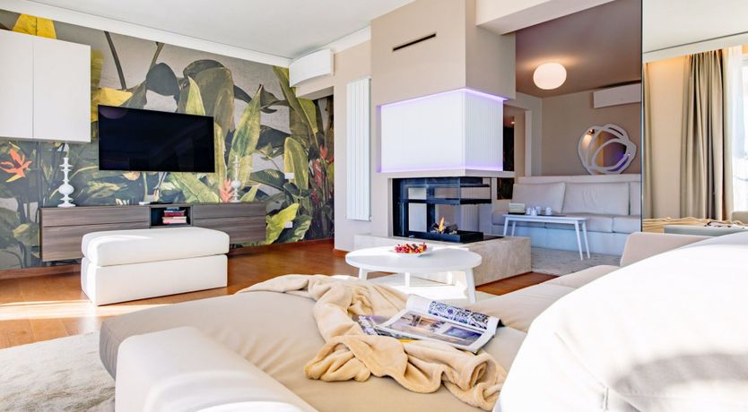 Photo of Among the Olive Trees