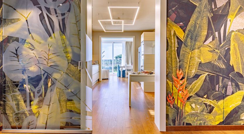 Photo of Among the Olive Trees